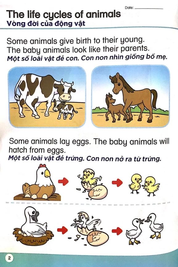  Khoa Học Tiền Tiểu Học Song Ngữ - Sách Học 5 