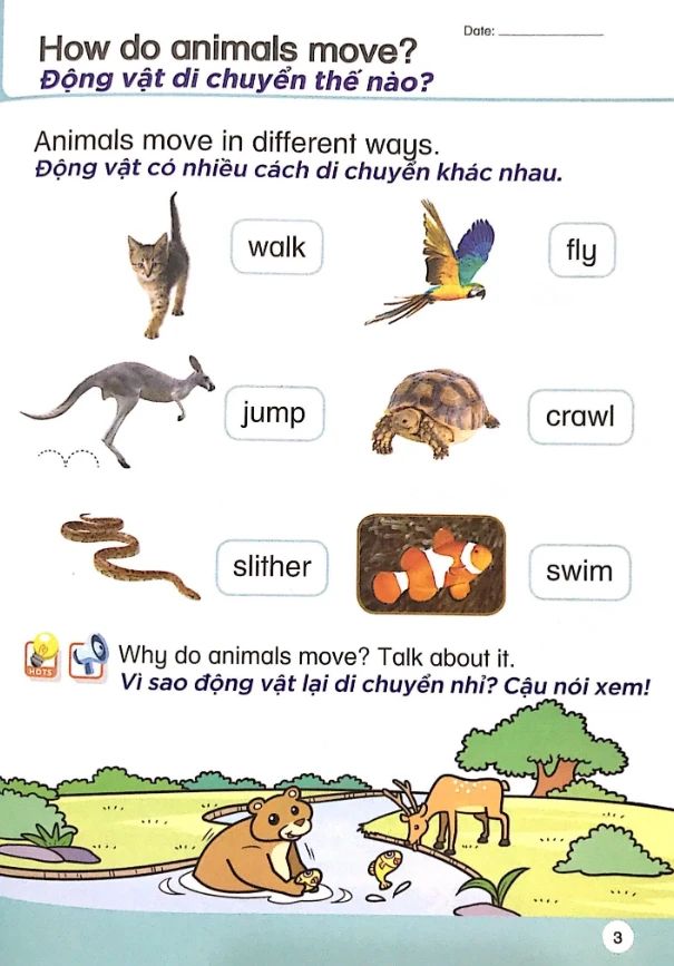  Khoa Học Tiền Tiểu Học Song Ngữ - Sách Học 5 