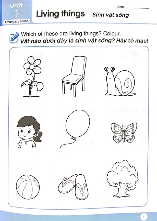  Khoa Học Tiền Tiểu Học Song Ngữ - Sách Luyện Tập 4 