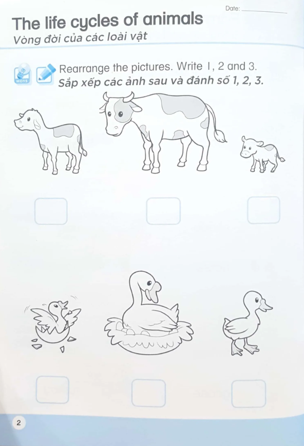  Khoa Học Tiền Tiểu Học Song Ngữ - Sách Luyện Tập 5 