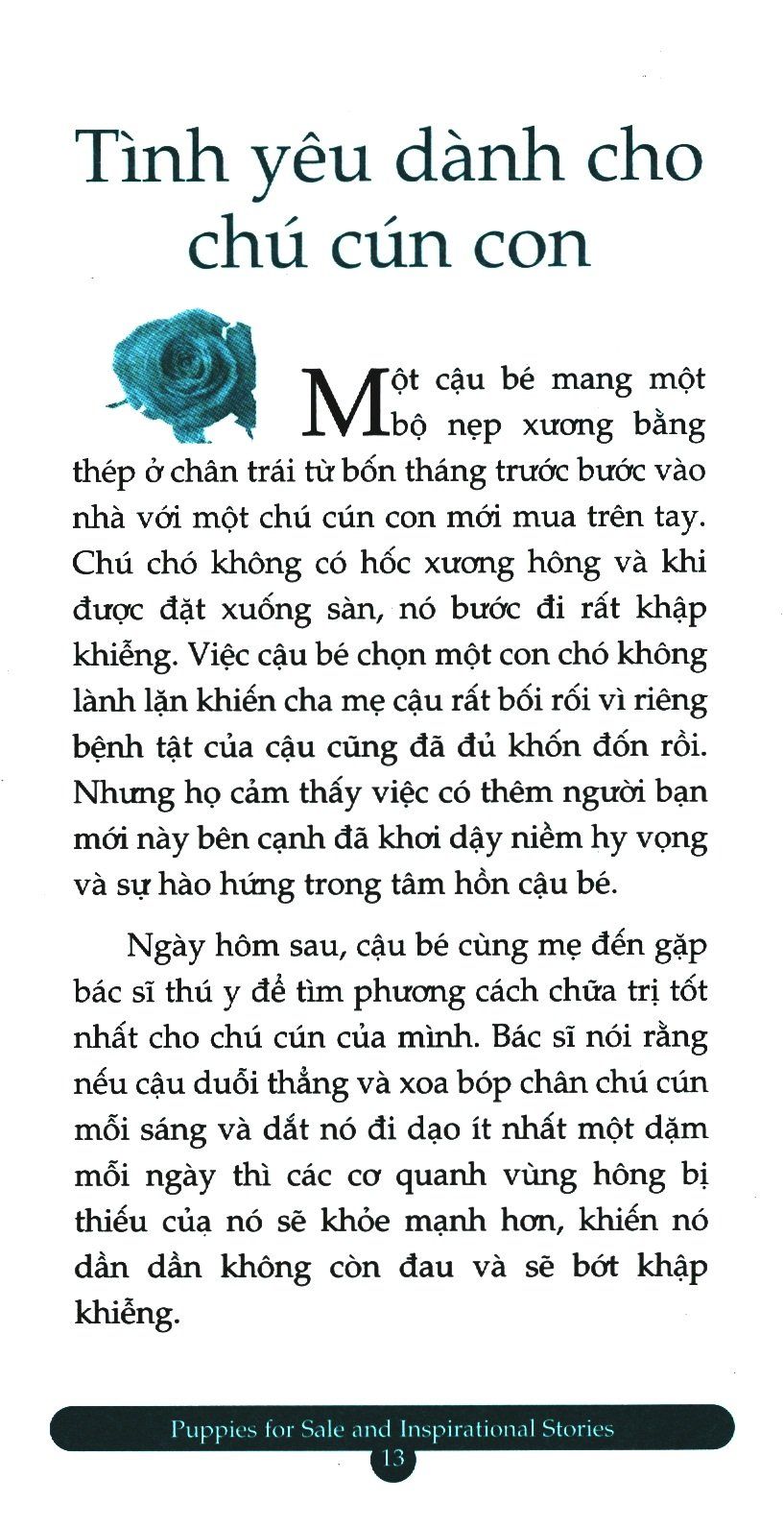  Chicken Soup For The Soul - Quà Tặng Từ Trái Tim 