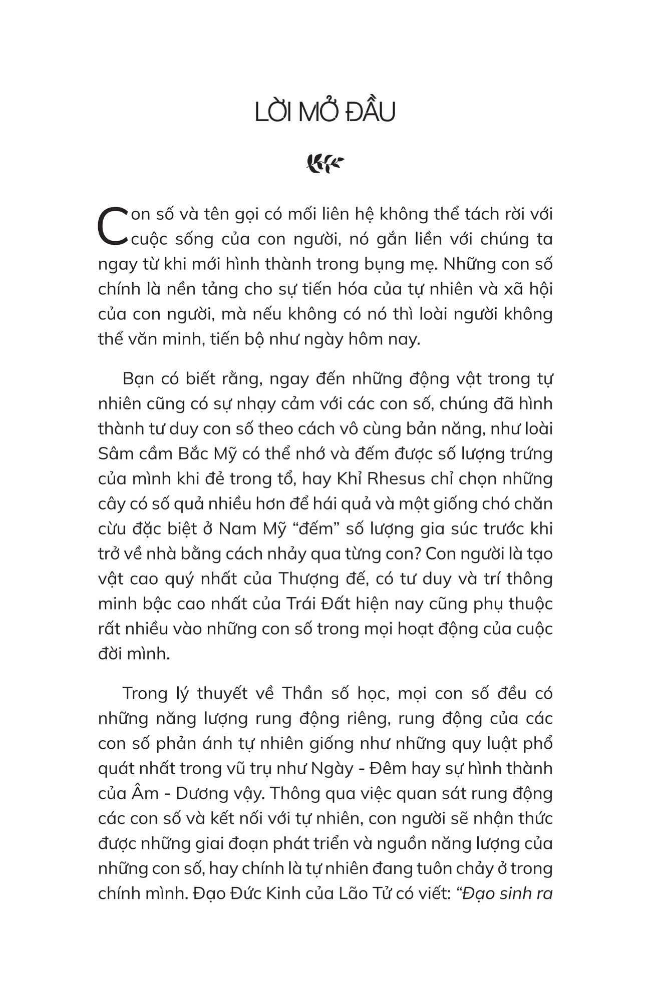  Thần Số Học Chữa Lành 