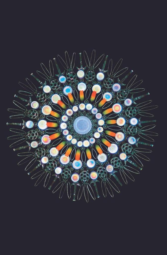  Vũ Trụ - Những Thế Giới Khả Hữu - Bìa Cứng 