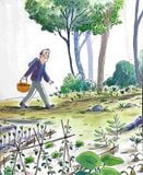  Bí Mật Của Rừng  - The Forest Secret 