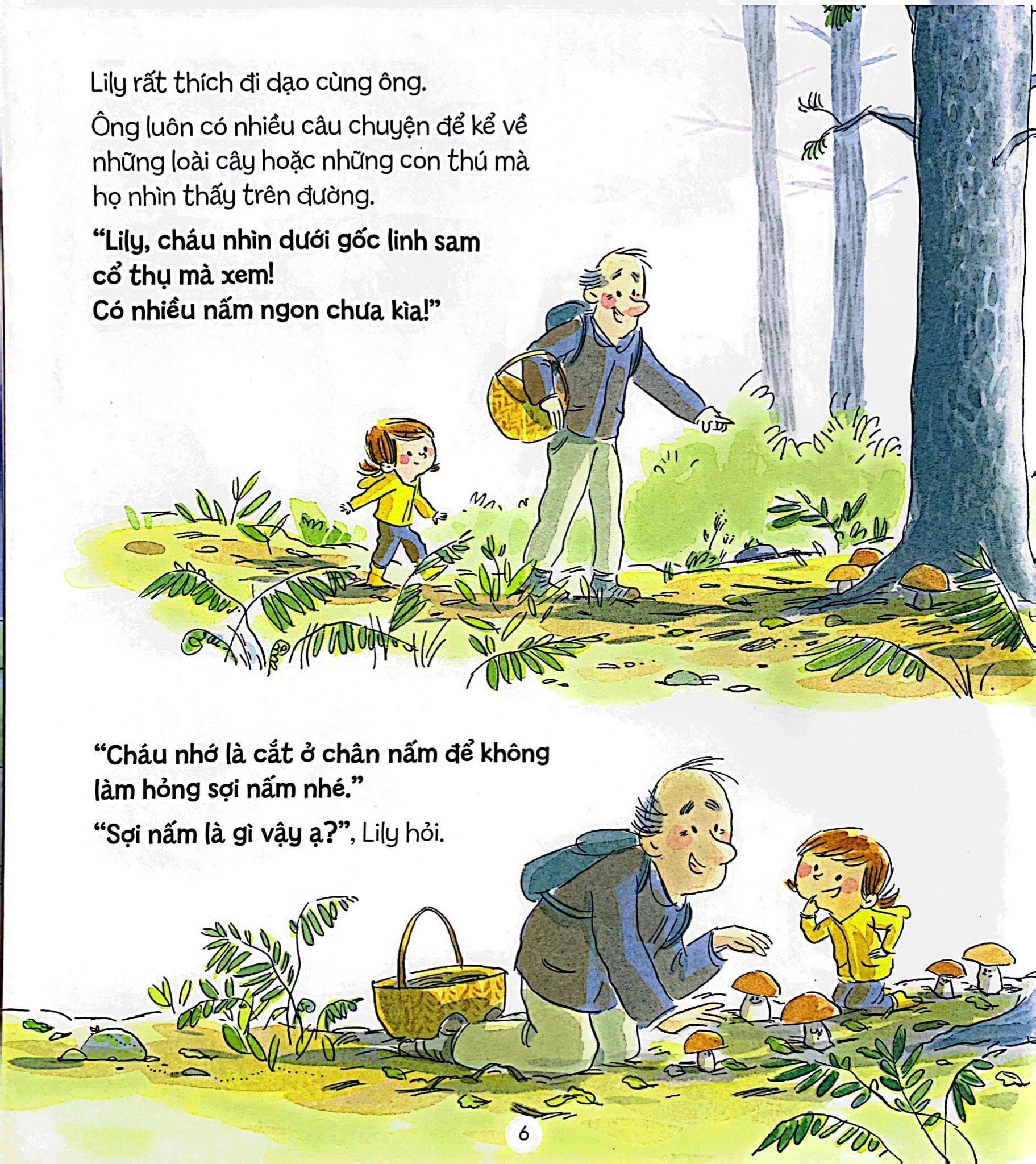  Bí Mật Của Rừng  - The Forest Secret 