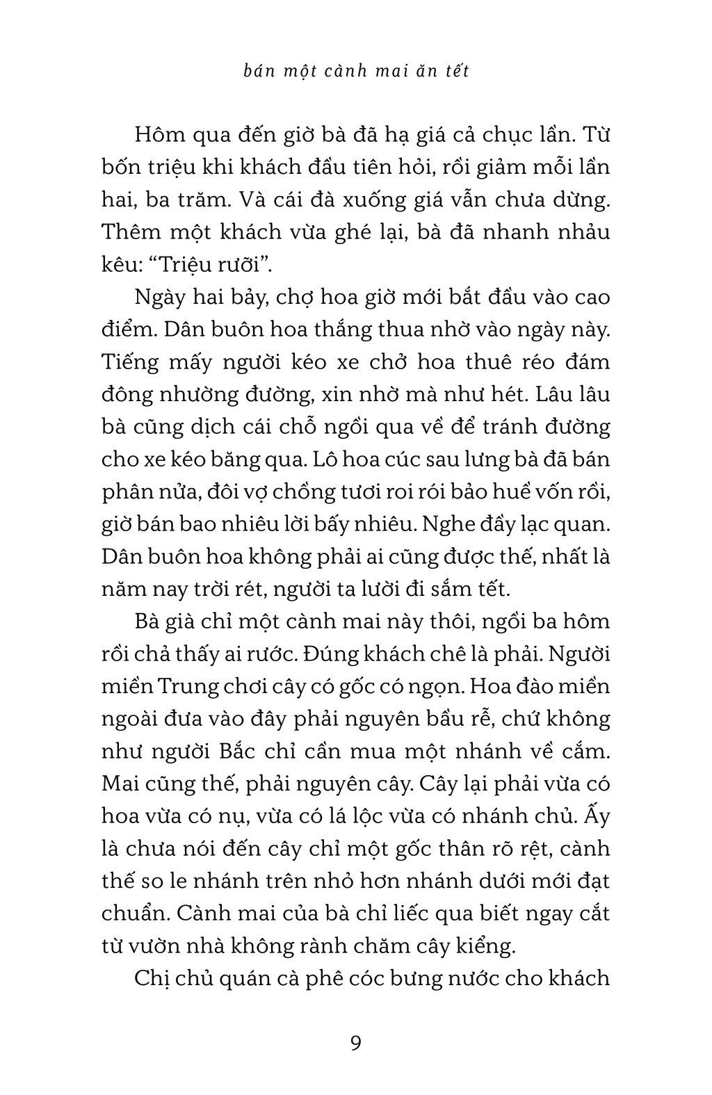  Bán Một Cành Mai Ăn Tết 