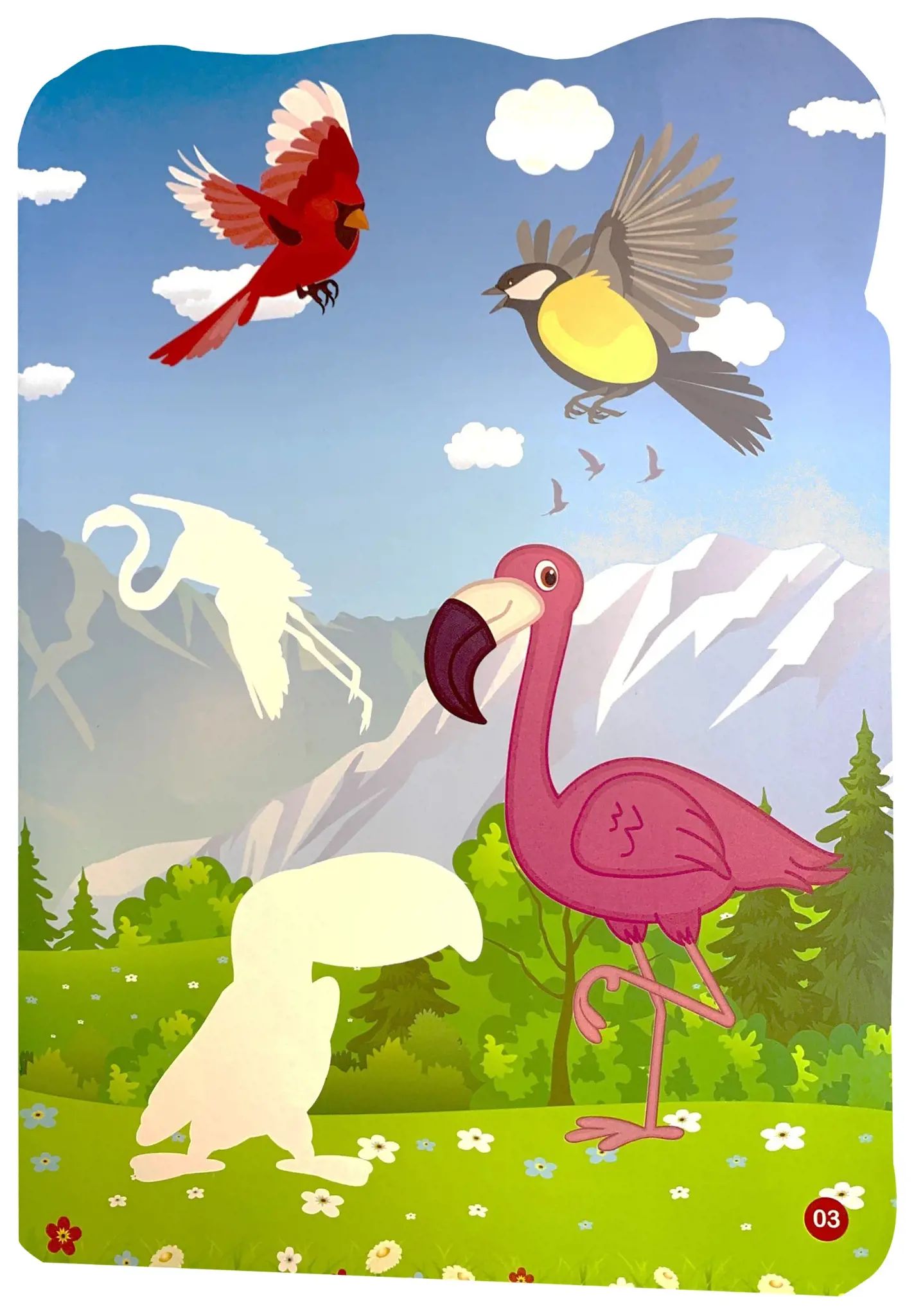  Sticker - Thế Giới Động Vật - Thế Giới Loài Chim 