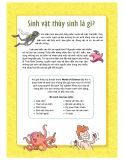  Làm Bạn Với Khoa Học - World Of Science - Những Bí Ẩn Về Sinh Vật Thủy Sinh - Adventures With Aquatic Creatures 