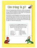  Làm Bạn Với Khoa Học - World Of Science - Những Bí Ẩn Về Côn Trùng - Adventures With Insects 