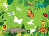  Sticker - Thế Giới Động Vật - Côn Trùng Bò Sát Lưỡng Cư 