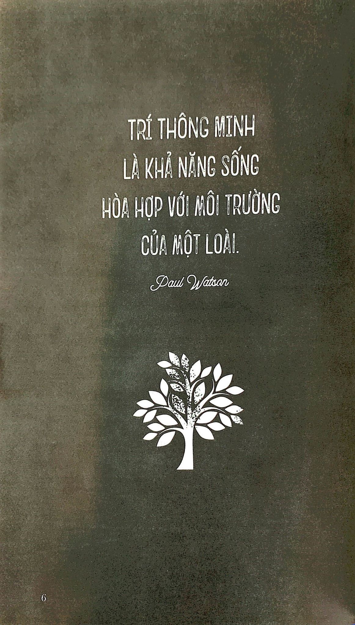  The Little Book - Chủ Nghĩa Thuần Chay 