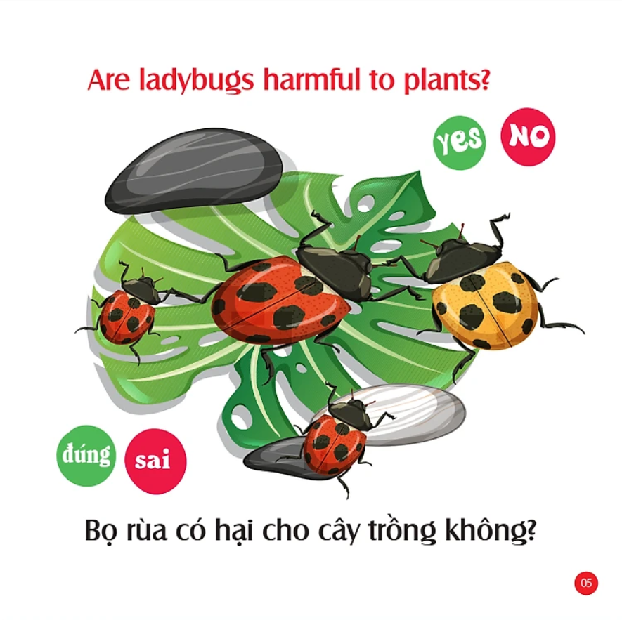  Mẹ Hỏi Bé Trả Lời 1 - Song Ngữ Anh Việt 