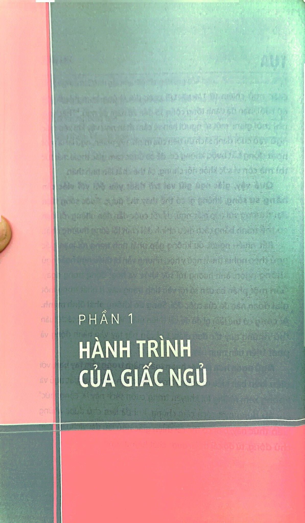  Ngủ Ngon Mỗi Đêm, Sống Khỏe Mỗi Ngày - Bí Mật Phía Sau Một Giấc Ngủ Chất Lượng 