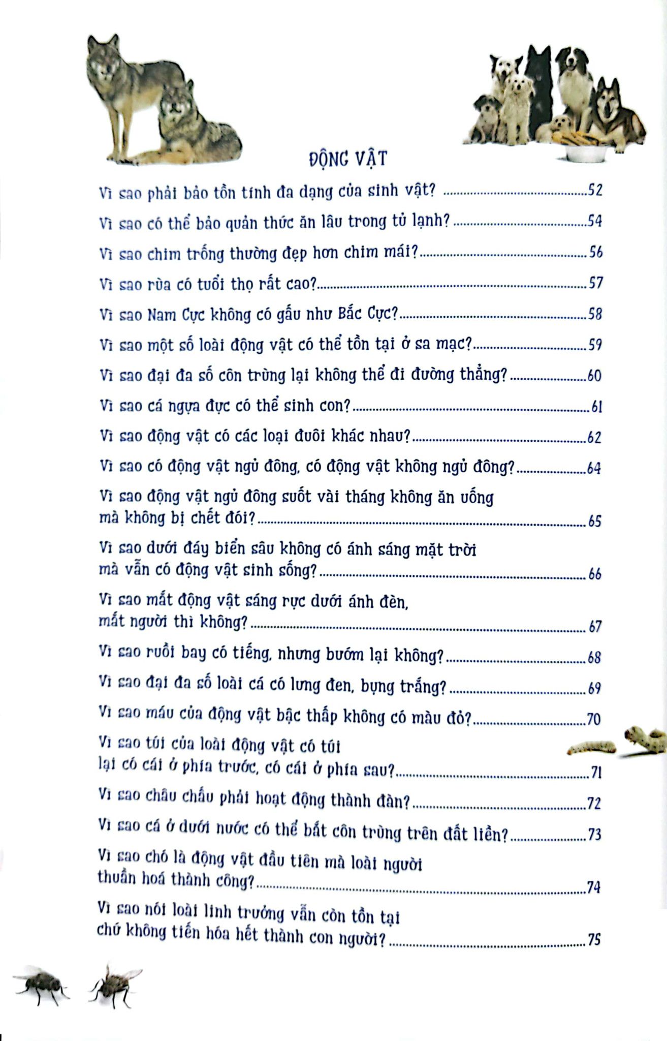  10 Vạn Câu Hỏi Vì Sao - Những Điều Kỳ Thú Trong Sinh Học 