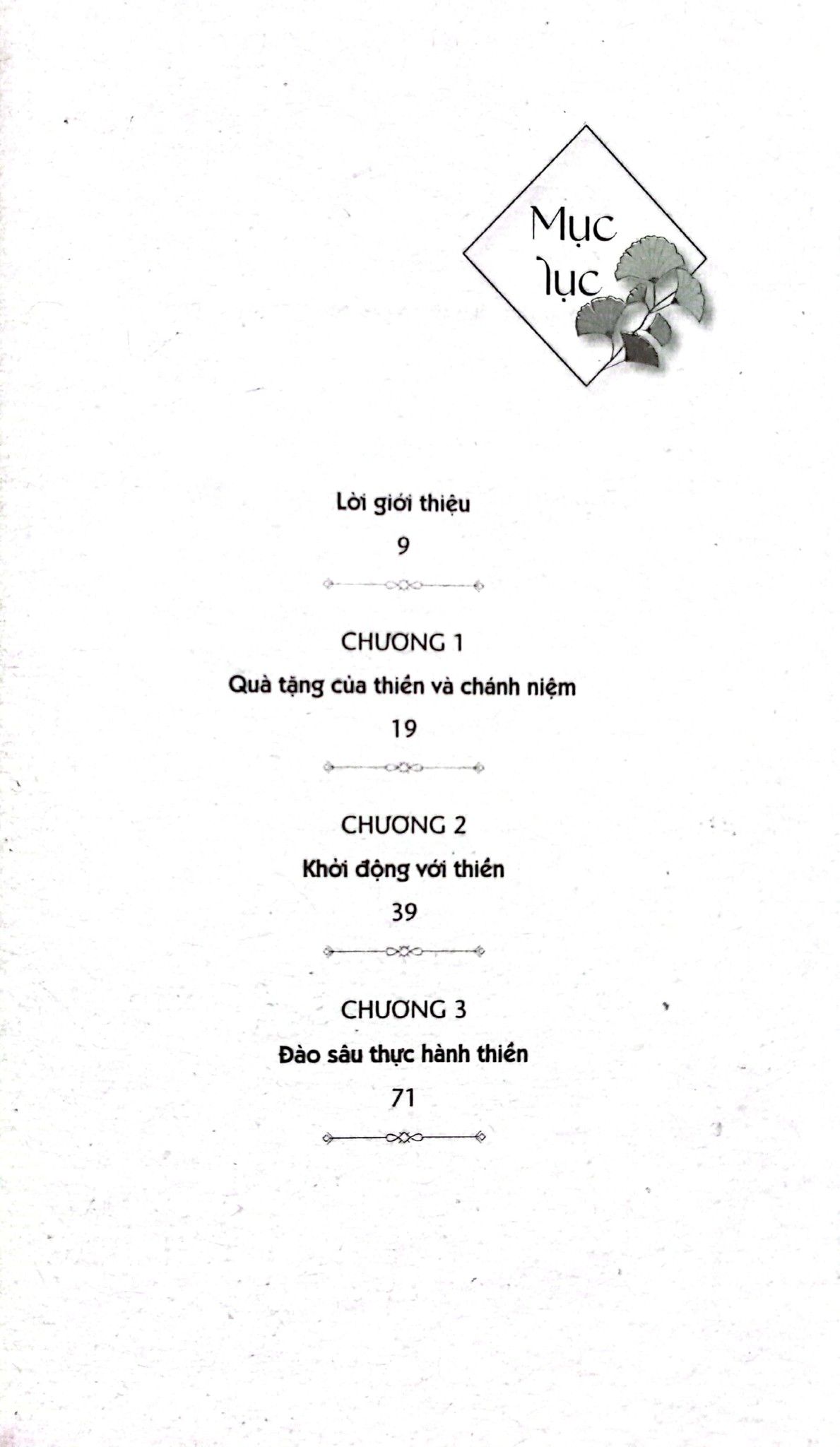  Thiền Như Một Phật Tử 