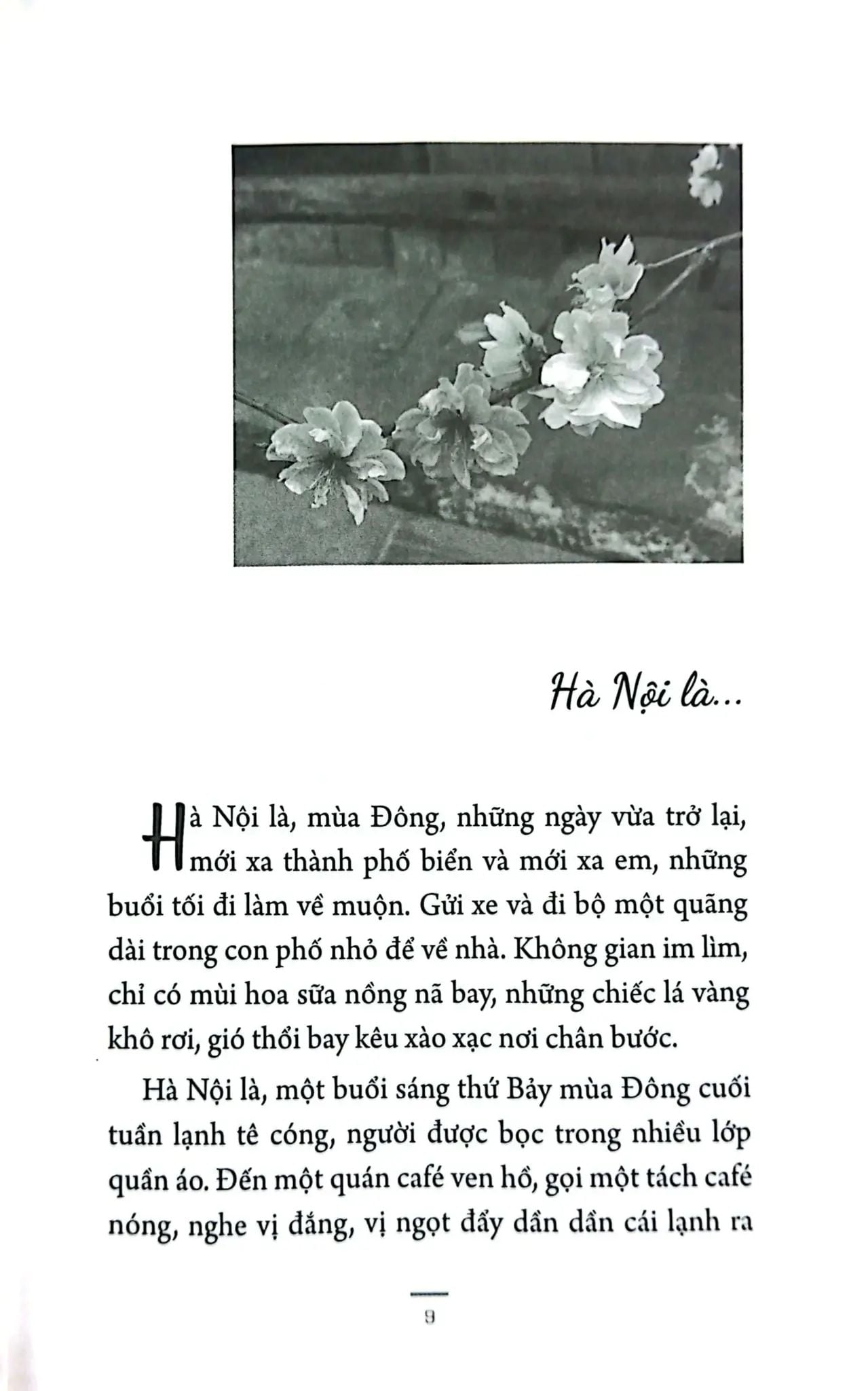  Những Mảnh Kí Ức Viết Bằng Bút Chì 