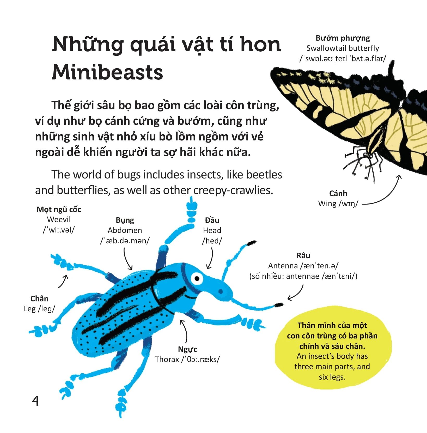  Thư Viện Từ Vựng Đầu Đời Cho Bé - Các Loài Sâu Bọ - Bugs! 