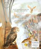  Harry Potter Và Hòn Đá Phù Thủy - Bản Đặc Biệt - Bìa Cứng (Có Tranh Minh Họa Màu) (Tái Bản 2024) 