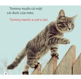  Song Ngữ Việt Anh - Khám Phá Thế Giới - Tommy Muốn Có Một Cái Đuôi - Tommy Wants A Tail 
