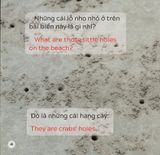  Song Ngữ Việt Anh - Khám Phá Thế Giới - Trên Bãi Biển - At The Beach 