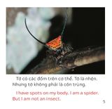  Song Ngữ Việt Anh - Khám Phá Thế Giới - Loài Nào Là Côn Trùng Nhỉ? - Who Is The Insect? 