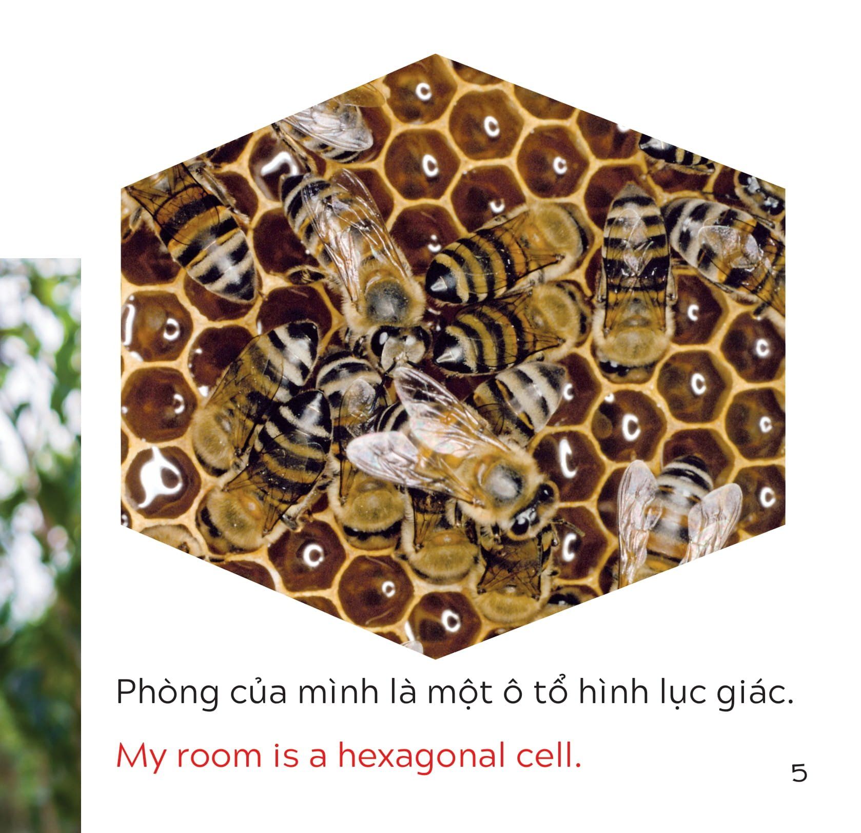  Song Ngữ Việt Anh - Khám Phá Thế Giới - Bạn Sống Ở Đâu Thế? - Where Do You Live? 