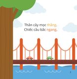  Bé Thông Minh Trổ Tài So Sánh Dọc - Ngang 