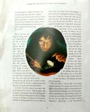  Harry Potter Và Tên Tù Nhân Ngục Azkaban - Bản Đặc Biệt - Bìa Cứng (Có Tranh Minh Họa Màu) (Tái Bản 2024) 
