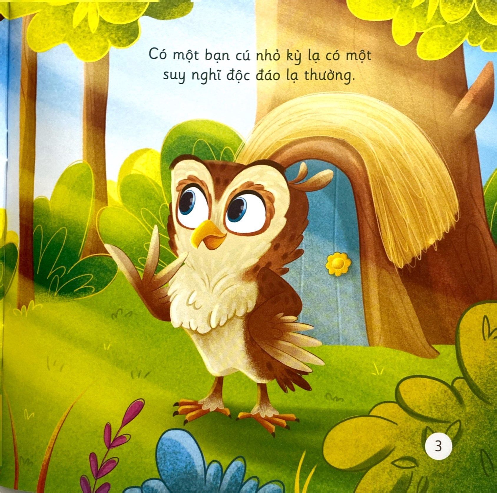  Khơi Gợi Trí Tưởng Tượng Và Sáng Tạo. Cú Mèo Ollie Ngủ Xuyên Đêm - Khám Phá Góc Nhìn Mới Về Thiên Nhiên 