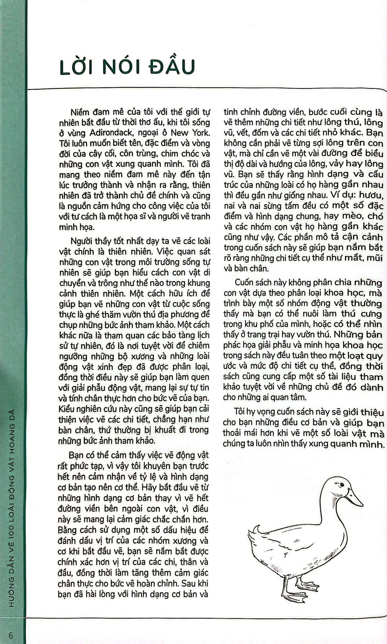  Hướng Dẫn Vẽ 100 Loài Động Vật Hoang Dã 