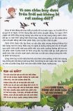  10 Vạn Câu Hỏi Vì Sao? Bí Ẩn Về Loài Chim, Động Vật Dưới Biển Và Đại Dương 