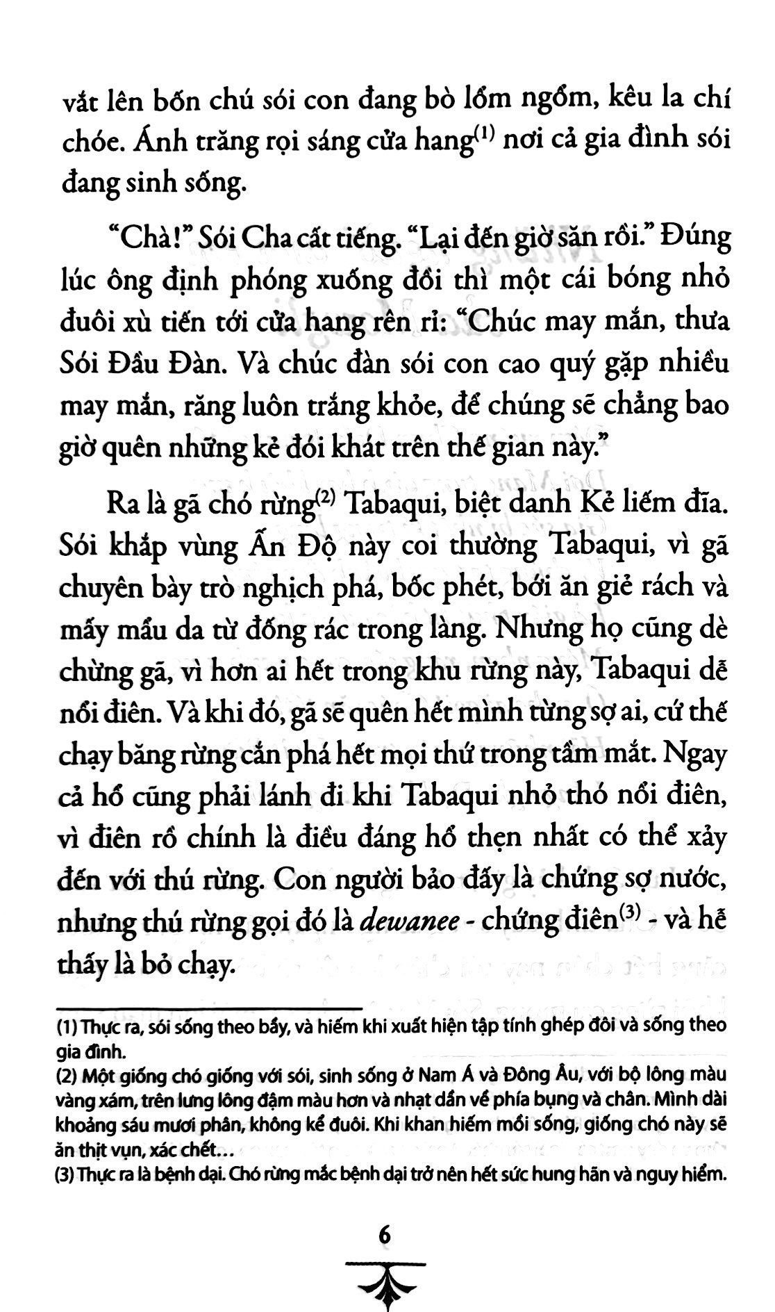  Chuyện Rừng Xanh 