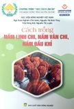  Combo Cách Trồng Và Sử Dụng Nấm 