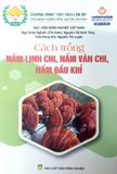  Cách Trồng Nấm Linh Chi, Nấm Vân Chi, Nấm Đầu Khỉ 