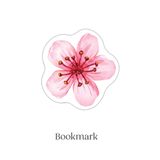  Thái Hồng – Có Em Trong Đời ( tặng Kèm Bookmark) 