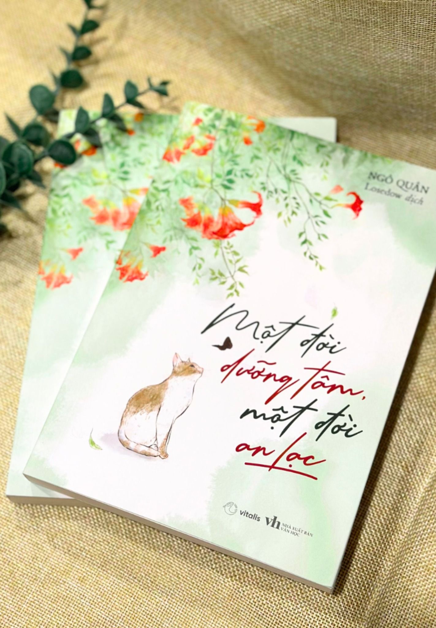  Một Đời Dưỡng Tâm, Một Đời An Lạc 