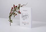  Nguồn Cội - Chuyện Về Những Người Hai Quê Hương 
