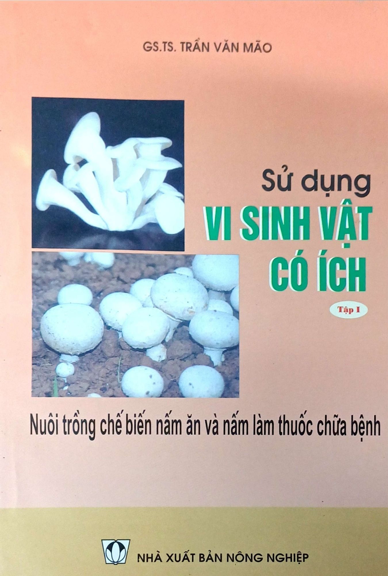  Combo Cách Trồng Và Sử Dụng Nấm 