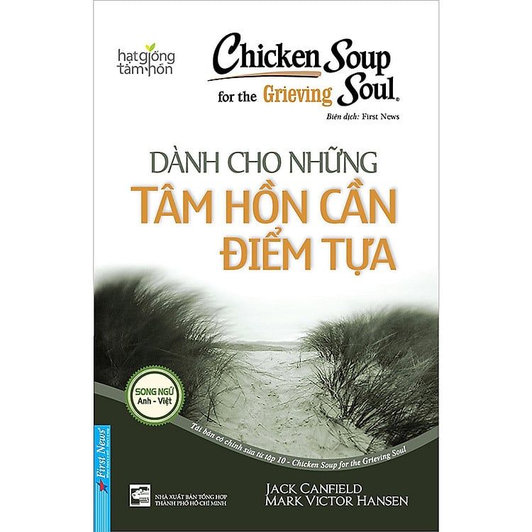  Chicken Soup For The Soul - Dành Cho Những Tâm Hồn Cần Điểm Tựa 