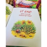  Những Câu Chuyện Hay Nhất Về Mèo 