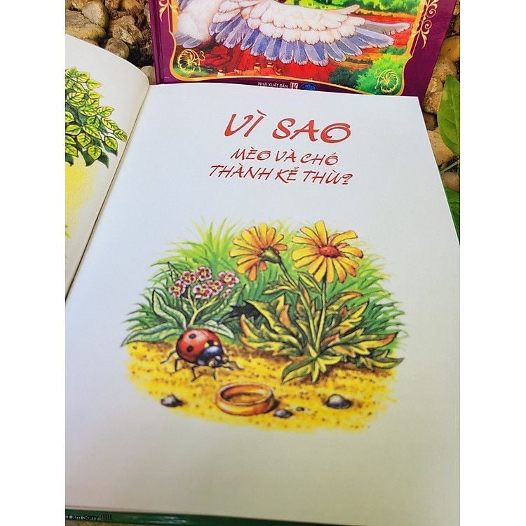  Những Câu Chuyện Hay Nhất Về Mèo 