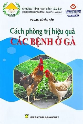 Combo Kỹ Thuật Nuôi Gà Thả Vườn 