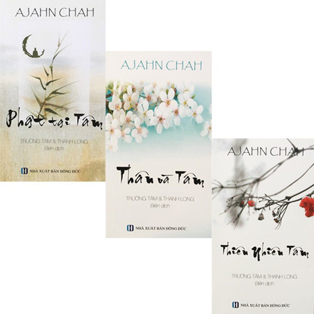  Bộ 3 Cuốn Sách Thiền Sư Ajahn Chah: Phật Tại Tâm - Thân Và Tâm - Thiên Nhiên Tâm ( Tái Bản 2022 ) 
