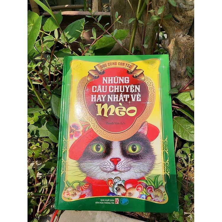  Những Câu Chuyện Hay Nhất Về Mèo 