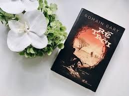  Rễ Trời 