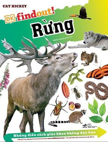  Dkfindout - Những Điều Sách Giáo Khoa Không Dạy Bạn - Rừng 