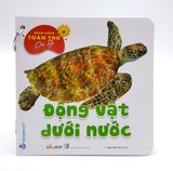  Bách Khoa Toàn Thư Cho Bé - Động Vật Dưới Nước (Bộ 5C) 