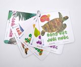  Bách Khoa Toàn Thư Cho Bé - Động Vật Dưới Nước (Bộ 5C) 