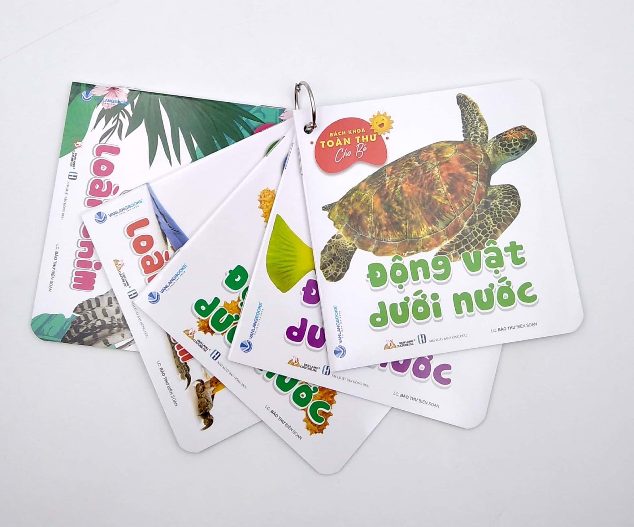  Bách Khoa Toàn Thư Cho Bé - Động Vật Dưới Nước (Bộ 5C) 