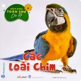  Bách Khoa Toàn Thư Cho Bé - Động Vật Dưới Nước (Bộ 5C) 